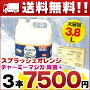 【送料無料】チャーミーマジカ 除菌+ プロフェッショナル スプラッシュオレンジ 3.8L × 3本 【ライオン 業務用 チャーミー】【大容量 Magica 微香タイプ】【LION 食器洗剤 箱売り】【4903301253129 マジカ つめかえ】【まとめ買い 中性洗剤】【253129】【smtb-td】