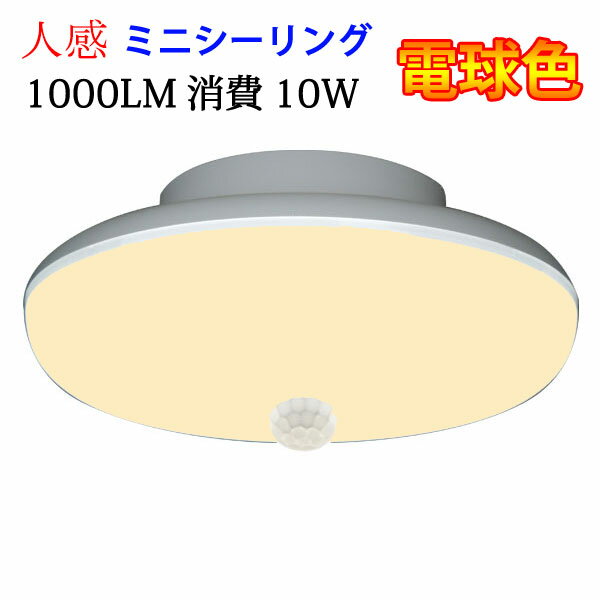 led󥰥饤 LED󥰥饤 ʹ󥵡դ 10W ߥ˥ ŵ忧 1000LM 󥵡饤  󥿥åդ  [SCLG-10W-Y]פ򸫤