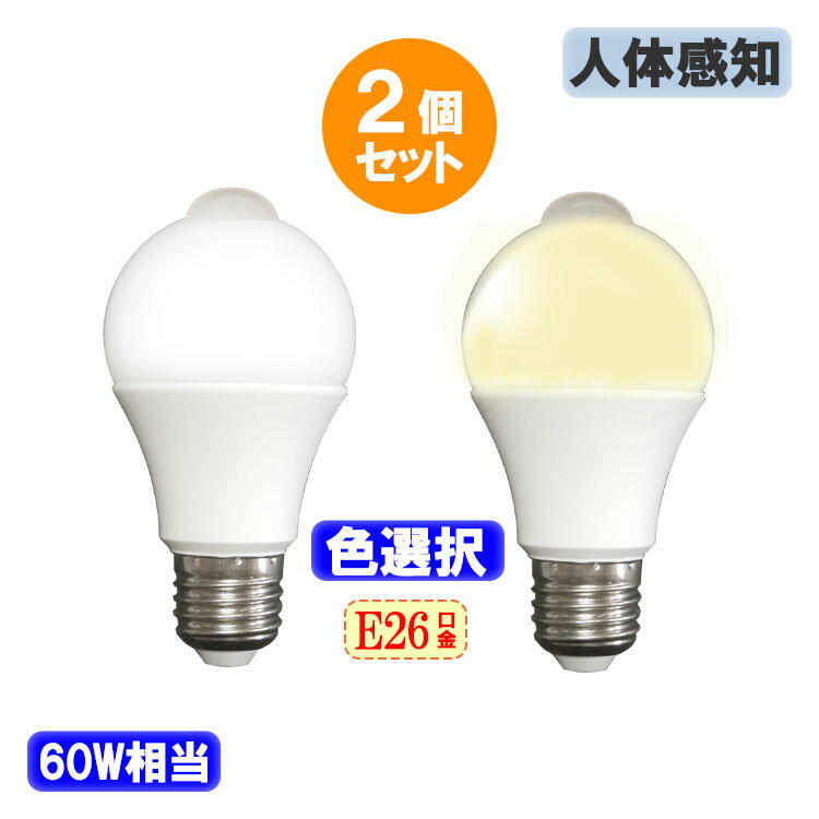 ledŵE26ʹ󥵡դ󥵡饤Ȳ7W500LMŵ忧[SDQ-7W-X]