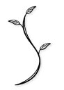 美濃クラフト Wall Decoration branch WS-20A 本体色:半ツヤ黒 【送料無料】