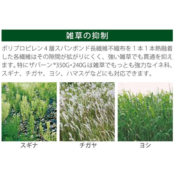 ���å��� ���С��� ���𥷡��� 240���꡼�� 2m��30m �����ߤ�ԥ󡦥�å��㡼��100�ĥ��å� �Ŀ��������Բ�