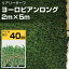 リアリーターフ 人工芝 ヨーロピアンロング 2m×5m グリーンフィールド 庭 ガーデニング 芝生 個人宅配送不可