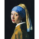 真珠耳飾りの少女 【20号】 ヨハネス・フェルメール 【 額縁が選べる 額入り 複製画 絵画 】