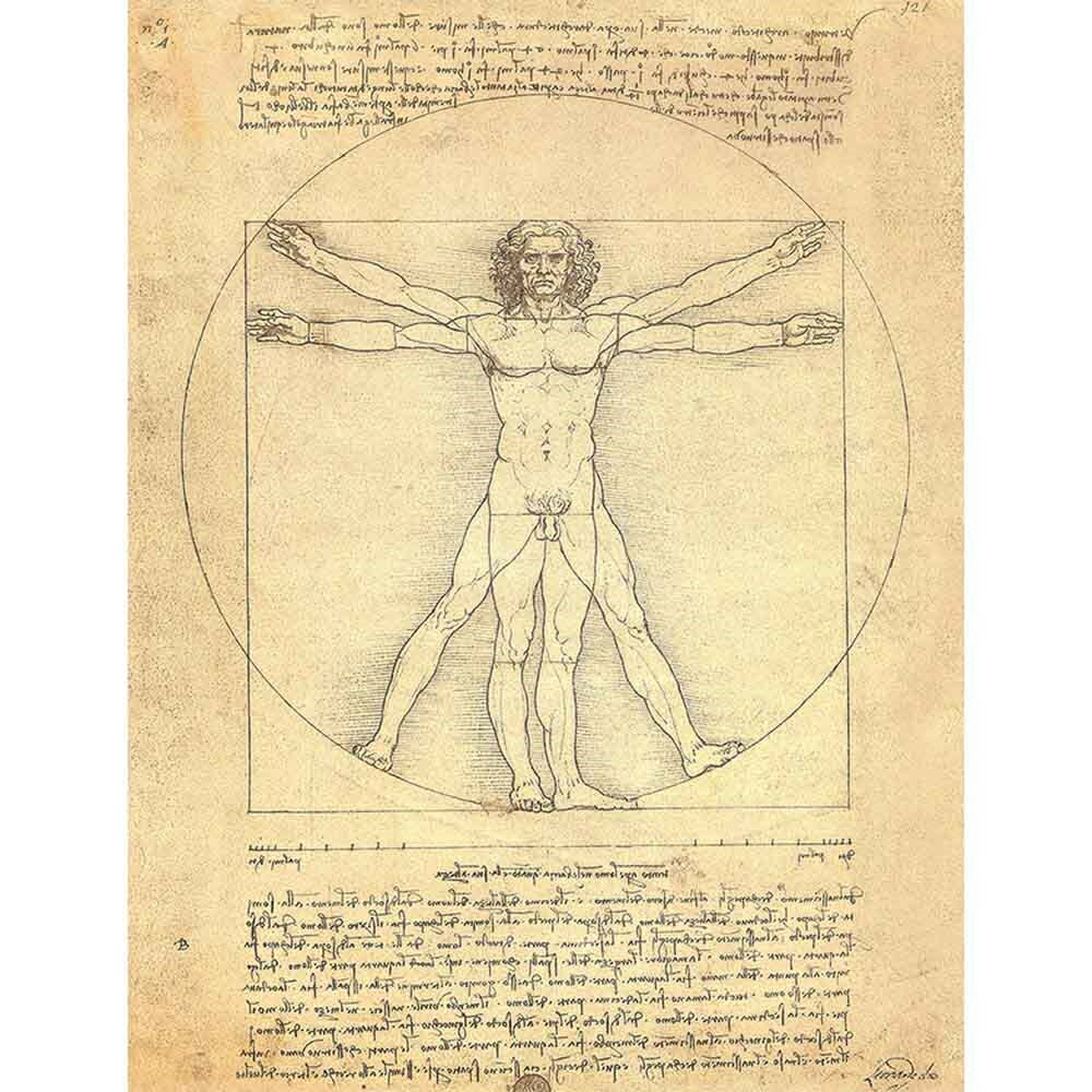 ウィトルウィウス的人体図  レオナルド・ダ・ヴィンチ 