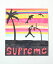 Supreme Dunk Sticker ץ꡼  ƥå