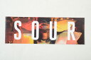 SOURSOLUTION STICKER サワーソリューション スケートボード ステッカー