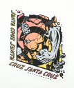 SANTACRUZ STICKER T^NY XebJ[