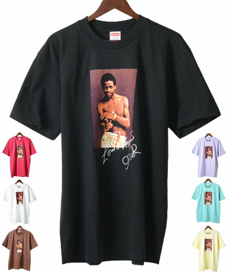 Supreme Al Green Tee シュプリーム アル グリーン ティシャツ 半袖 全7色