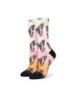 STANCE AFLUTTER CREW Socks fB[X \bNX }` sN