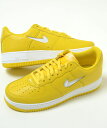 NIKE AIR FORCE 1 LOW RETRO iCL GA tH[X 1 [ g CG[  Y Xj[J[ fj1044-700