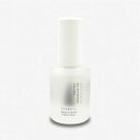 スパネイル ネイルセラムS (爪の美容液)10mL セラム 爪 保護 補修 ネイル 爪用 爪ケア 縦スジ 乾燥 二枚爪 日本製 凸凹 プロ仕様 ネイリスト ディルの種子 ネイルケア ケラチノモイストR 保湿 乾燥 爪の潤い 亀裂 コーティング 売れ筋