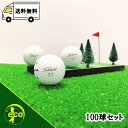 ロストボール タイトリスト PRO V1 年代混合 ホワイト 100個 Bランク ゴルフボール 中古 エコボール ゴルフ ロスト セット 大量 白 混合 100...
