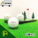 ロストボール タイトリスト PRO V1x 年代混合 ホワイト 50個 Bランク ゴルフボール 中古 エコボール ゴルフ ロスト セット 大量 白 混合 50球...