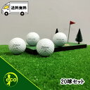 ロストボール タイトリスト PRO V1x レフトダッシュ LEFT DASH ホワイト 20個 Bランク ゴルフボール 中古 エコボール ゴルフ ロスト セッ...