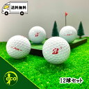 ロストボール ブリヂストン ツアーB JGR 2023年 パールピンク 12個 Aランク ブリジストン ゴルフボール 中古 エコボール ゴルフ ロスト セット ...