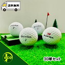 ロストボール テーラーメイド 各種混合 ホワイト 30個 ABランク ゴルフボール 中古 エコボール ゴルフ ロスト セット 大量 白 混合 30球 Taylo...