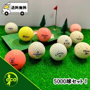 ロストボール ブランド混合 5000個 Cランク ゴルフボール 中古 エコボール ゴルフ ロスト セット 大量 白 色付き カラー 混合 5000球 送料無料