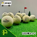 ロストボール ブランド混合 5000個 訳アリ Bランク ゴルフボール 中古 エコボール ゴルフ ロスト セット 大量 ホワイト 白 混合 5000球 送料無料