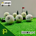 レンジボール 5000個 訳アリ ゴルフボール 中古 エコボール ゴルフ ロスト セット 大量 ホワイト 白 混合 5000球 送料無料