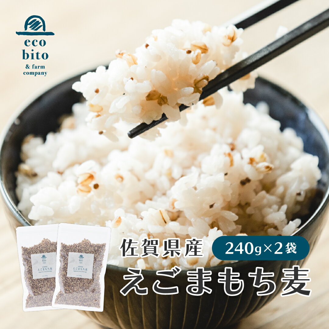 えこびと農園 えごまもち麦 2パックセット【メール便送料無料】