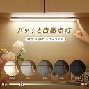 【オープン記念!全商品対象50%OFF】玄関 フットライト 廊下 屋内 人感 室内 USB充電式 屋外 感知式 階段 非常灯 小型 人感センサーライト 人感センサー ライト おしゃれ 足元灯