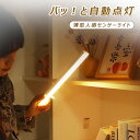 【オープン記念!全商品対象50%OFF】玄関 フットライト 廊下 屋内 人感 室内 USB充電式 屋外 感知式 階段 非常灯 小型 人感センサーライト 人感センサー ライト おしゃれ 足元灯