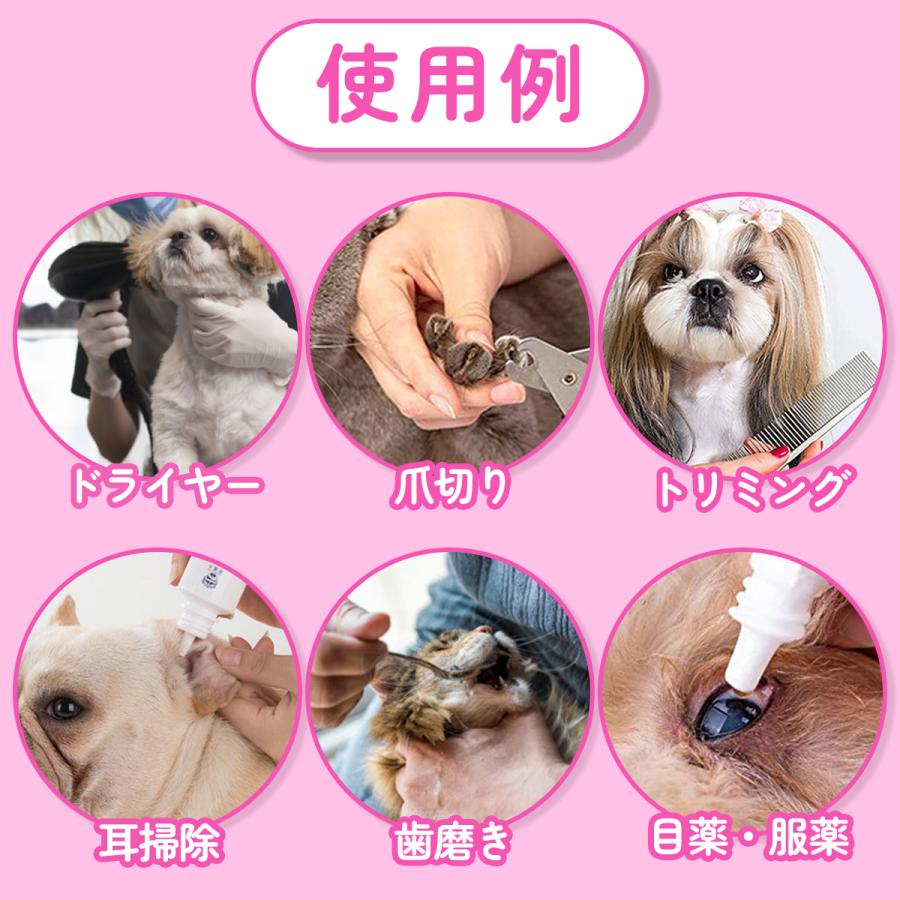 ��1513�ߢ�1468�� �����ݥ���Ѥ� ����500��!�ۥȥ�ߥ��� �ϥ��å� ���롼�ߥ� �� ǭ �ڥåȥ��� ���ڤꥰ�롼�ߥ󥰥��å� �ȥ�ߥ󥰥��å� ��