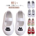 上靴 子供靴 キッズ キャンバス ベビー 男の子 兎 うわばき 室内シューズ かわいい ズック バレエシューズ 女の子 靴 スリッポン スクールシューズ 上履き 蛙 おしゃれ 室内履き 部屋履き 入学 入園 通学 軽い 通学