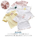 実用 可愛い 柔らか ベビー 男児 トップス ベビー 夏 80cm シンプル 90cm インス風 女児 通気 73cm 薄手 INS風 100cm 綿 半袖 肌...