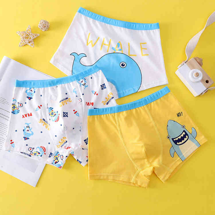 ����̵�� 3�祻�å� ���硼�� �Ҷ��� �Ҷ��� ����ʡ� ���� �ܥ������ѥ�� ����������� ���å� �֥꡼�� ������ �ˤλ� �ץ��� ����˥� �̵��� ��ޯ�� ���ȥ�å� ���åȥ� �� ���餫�� �İ���