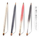 送料無料 リップブラシ メイクブラシ 携帯用 キャップ付き スライド式 プッシュ式 口紅 リップ 2way 化粧筆 平型 リップ アイシャドウブラシリップブラシ メイクアップブラシ コンパクト おしゃれ 可愛い 柔らかい毛 送料無料