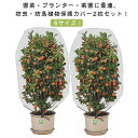 ベランダ 菜園 みかん 2個セット 花壇適用 防虫ネット プランター 網 防鳥ネット 植物保護カバー 植物保護袋 DIY 果樹園 園芸用ネット 鳥よけ 植物保護...