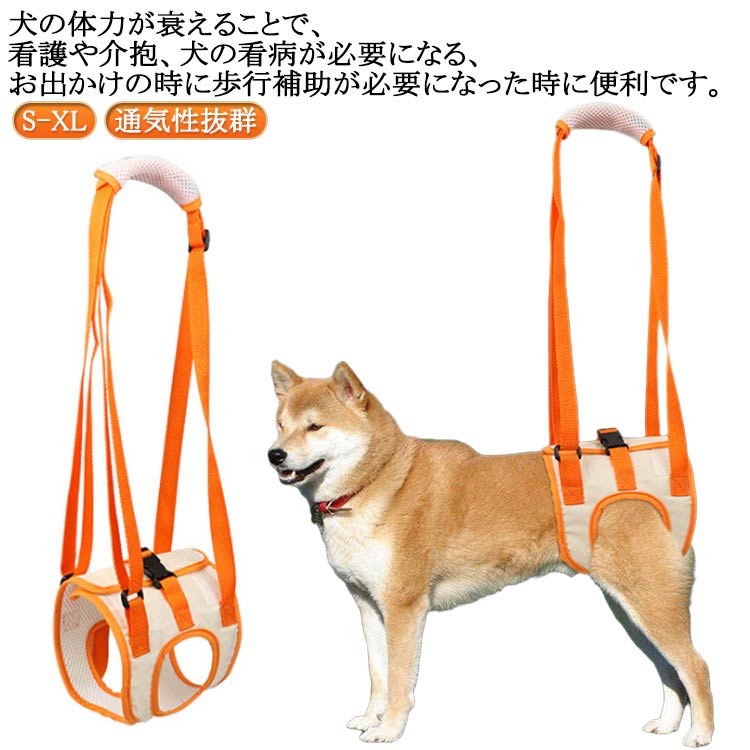  ̵ ­ ƹ  ϡͥ 夬 ϥӥ  ɥåϡͥ Ϸ  淿 緿  㳲...