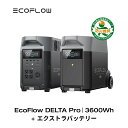 EcoFlow ポータブル電源 DELTA Pro 3600Wh 専用エクストラバッテリー セット 大容量 リン酸鉄 5年保証 3.1H急速充電 家庭用 蓄電池 発電機 防災対策 停電対策 非常用電源 拡張バッテリー 停電 節電対策 エコフロー