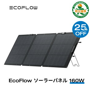 25%OFFݥѤ32,175!4/17 23:59ޤǡEcoFlow 顼ѥͥ 160W Gen2 顼Ŵ ۸ȯ ۸ѥͥ 顼㡼㡼 ޤ 25%ѴΨ ݡ֥Ÿ  IP68 ɿɿ ѥ     ɺ  ե