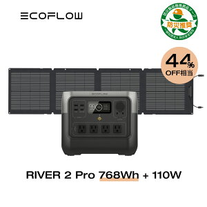 ڥݥʻѤ65,440!5/10ޤǡEcoFlow ݡ֥Ÿ 顼ѥͥ å RIVER 2 Pro 768Wh+110W Ŵ Ĺ̿  1.2hե뽼  ȯŵ Хåƥ꡼ ۸ȯ   ɺҥå ȥɥ   ե 