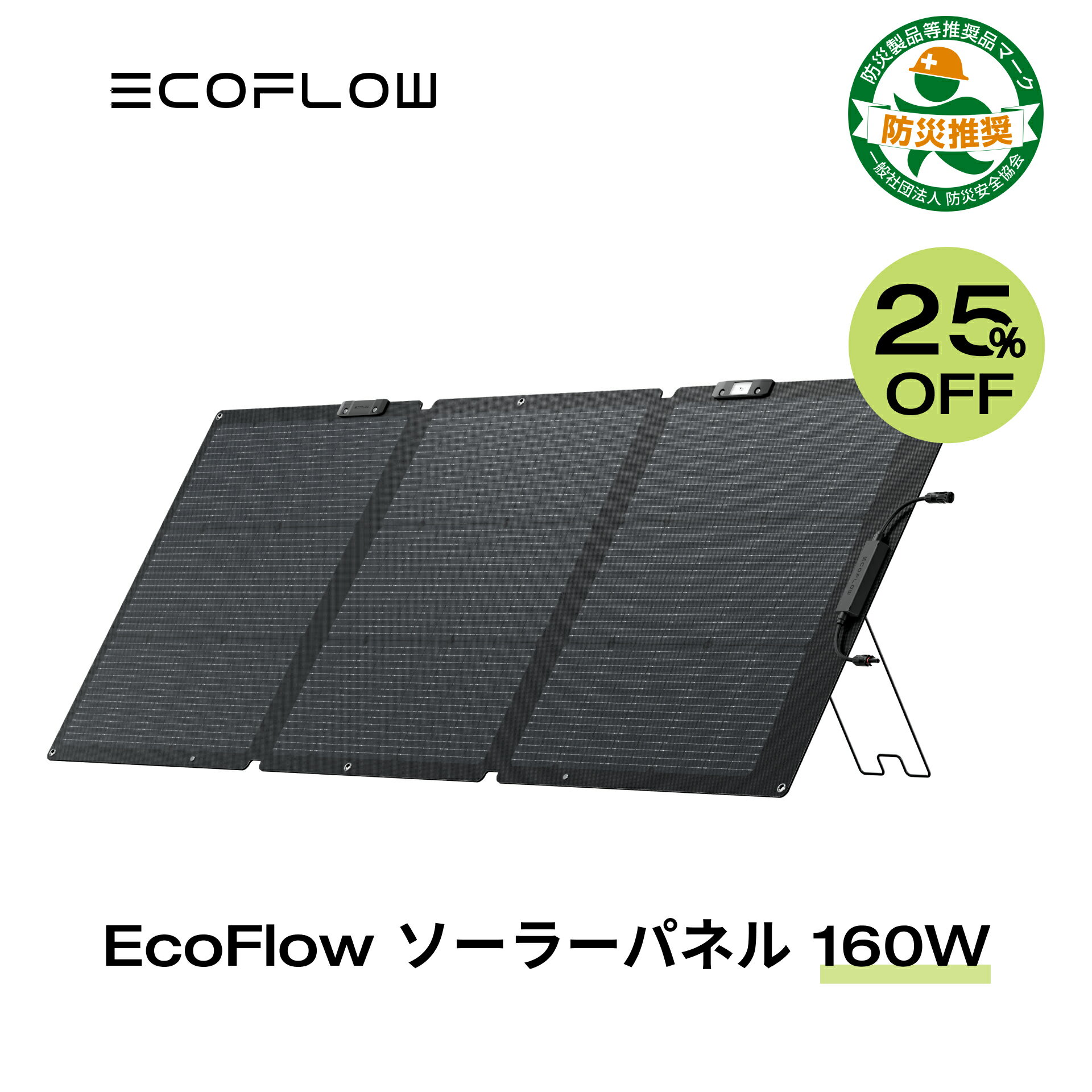  25%OFFN[|p32,175~ 5 17 EcoFlow \[[pl 160W Gen2 \[[[d zd zpl \[[`[W[ ܂ 25%ϊ |[^ud ~dr IP68 hho RpNg Ԓ Lv ߓd d h 䕗 GRt[