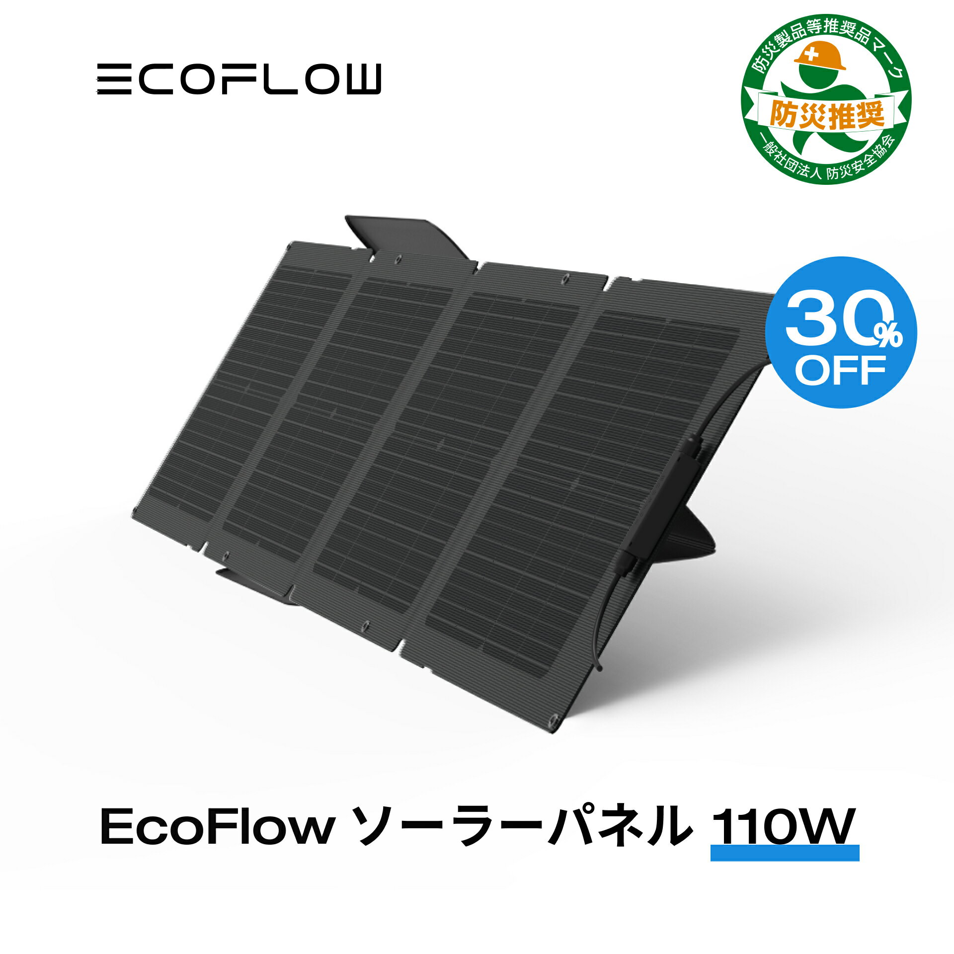 【クーポン使用で23,100円! 】EcoFlow 