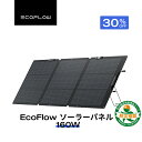 【クーポン利用で30,030円】EcoFlow ソーラーパネル 160W Gen2 ソーラー充電器 太陽光発電 太陽光パネル ソーラーチャージャー 折り畳み 2...