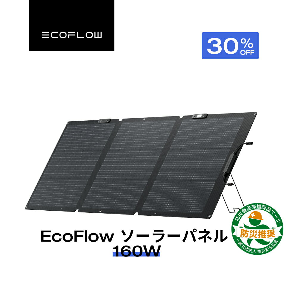 楽天市場】ef ecoflow ソーラーチャージャー 110wの通販 楽天市場】ef ecoflow ソーラーチャージャー 110wの通販