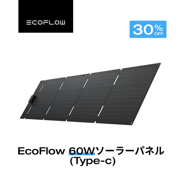 【クーポン利用で15,400円 6/14~】EcoFlow ソーラーパネル 60W(Type-C) ソーラー充電器 太陽光発電 太陽光パネル ソーラーチャージャー 折り畳み 25%高変換率 蓄電池 IP68 防水防塵 コンパクト 車中泊 キャンプ 節電 停電 防災 台風 エコフロー