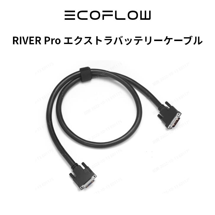 RIVER Pro エクストラバッテリーケーブル