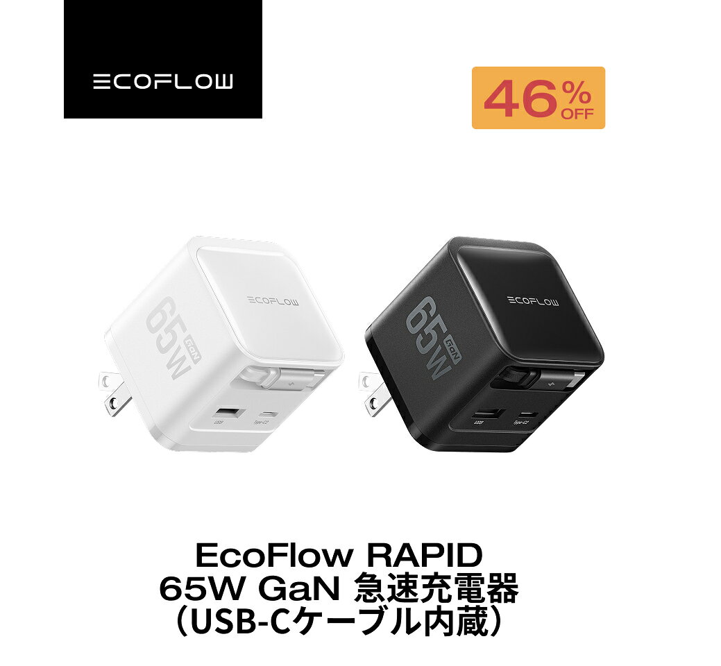 【P5倍+クーポンで2,900円、7/30 00:00から】18か月保証&タイプCケーブル付 30分で50%まで充電 EcoFlow RAPID 充電器 65W 3ポート 急速充電器 GaN技術 タイプC iphone MacBook Galaxy スマホ ノートパソコン 折りたたみ式プラグ コンパクトサイズ ACアダプタ エコフロー