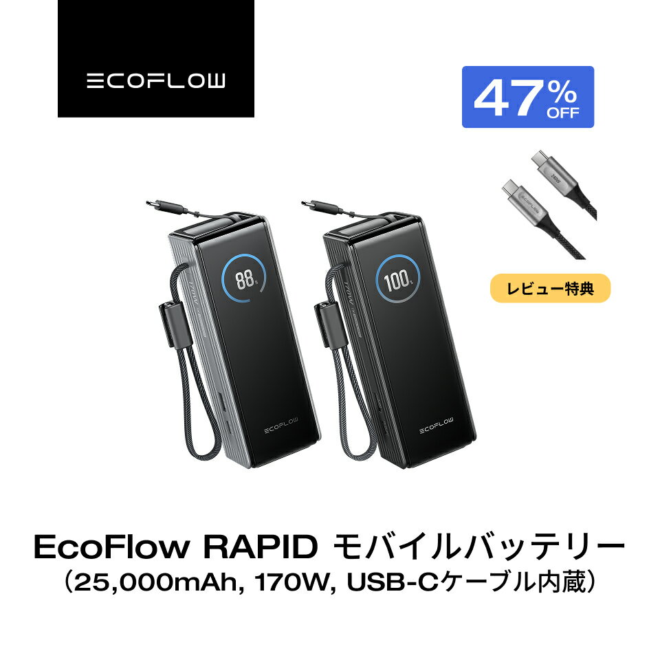 EcoFlow RAPID 25000mAhの商品画像
