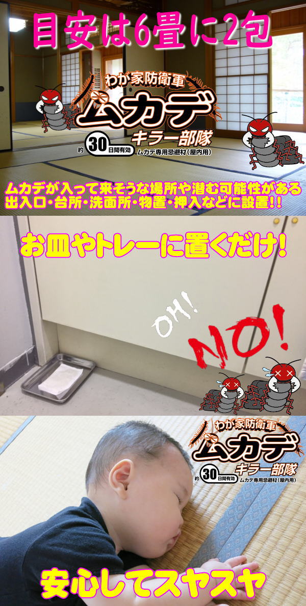 わが家防衛軍ムカデキラー部隊(10gtimes;10包)【ムカデ専用忌避剤】【メール便(ポスト投函)】【お届け日指定不可】【代金引換不可】【お買い上げ明細書なし】【大人気商品「水ピカ」を作ったメーカーの自信作】【送料無料】