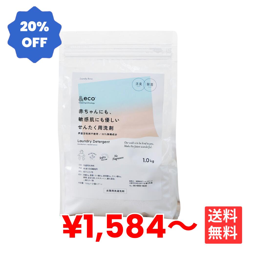 洗濯洗剤 &eco 肌にやさしい洗たく洗剤 粉 粉末 洗剤 洗濯 衣類 服 除菌 消臭 カビ予防 無添加 部屋干し 室内干し ドラム型 縦型 すすぎ1回 時短 敏感肌 子供 赤ちゃん ベイビー アトピー 無香料 節水 節電 1kg 日本製