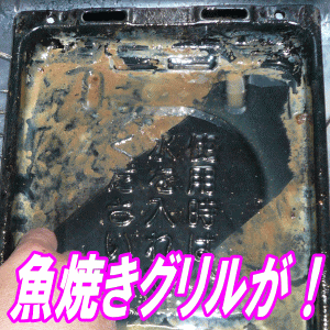 【送料無料】掃除も除菌もコレ1本！安心のロングセラー楽天ランキング300週1位全ては5,000件超の感動レビューが物語る！アルカリ電解水クリーナー水ピカ2リットルスチームクリーナー洗剤なんて不要！！