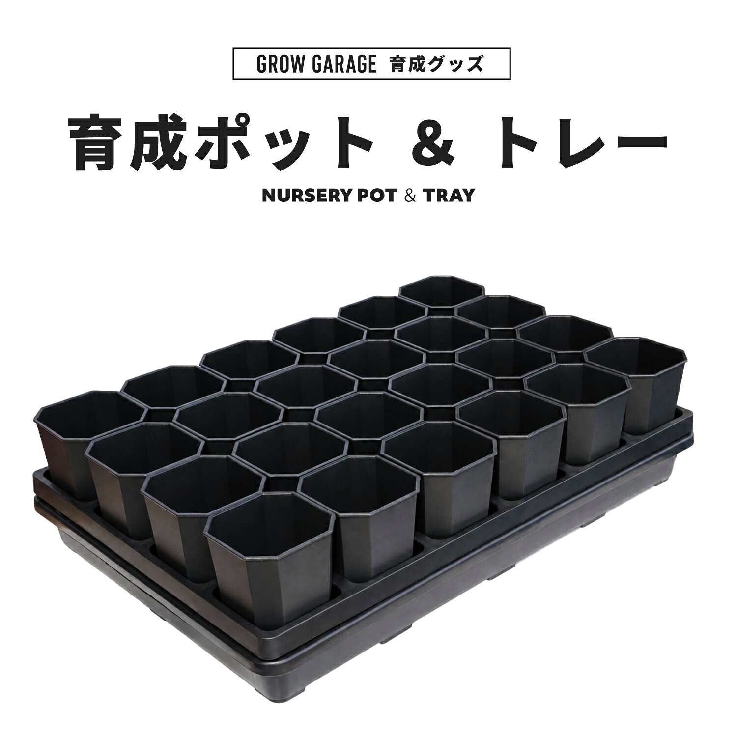 楽天市場】アガベ セットの通販