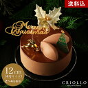 クリスマスケーキ トゥ・ショコラ 12cm チョコレートケーキ【冷凍便】【12月