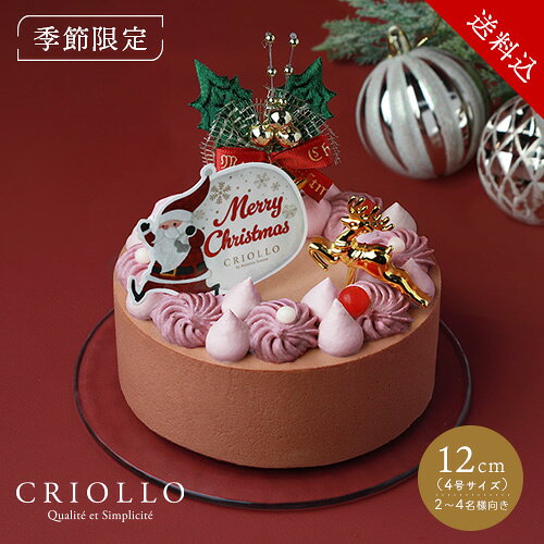 【12月1日出荷開始】【送料込】ショコラ・フランボワーズ・ノエル（12cm）【2026ノエル】【冷凍便】※12月2日～26日までのお届け